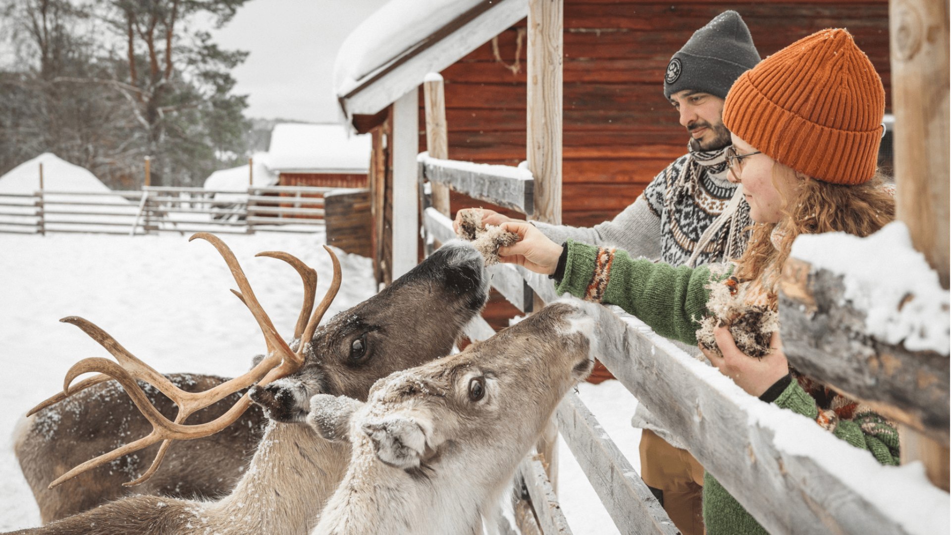 Familien-Tour Lappland